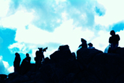 profile_photo